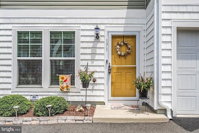 171 Intrepid Ln, Berlin, MD 21811 - photo 3