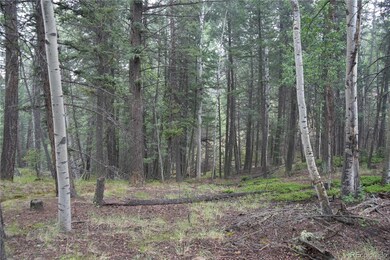 28 Feldspar Rd, Florissant, CO 80816 - photo 4