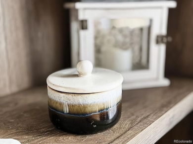 1269 Red Mountain Dr, Longmont, CO 80504 - photo 5