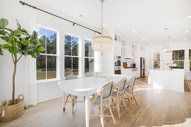 3600 Goodwater St, Mount Pleasant, SC 29466 - photo 5