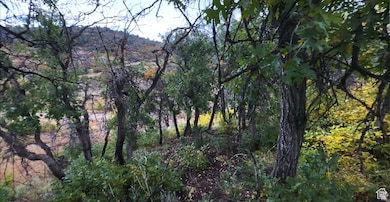 475 E Paradise, Indianola, UT 84629 - photo 6