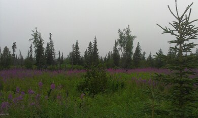 000 King Rd, Nikolaevsk, AK 99556 - photo 2