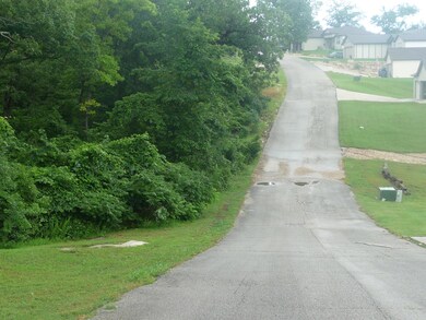 Tbd Oregon Ln, Ruth B Rural Township, MO 65686 - photo 3