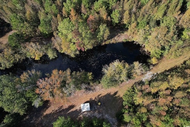 TBD Sand Plant Rd, Nichols, SC 29581 - photo 7