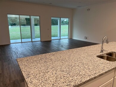 10064 Dolphin Gull Cir, Thonotosassa, FL 33592 - photo 4