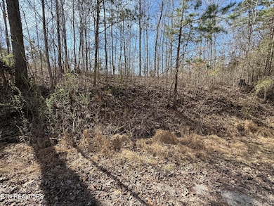 TBD Brandt Pike, Lafollette, TN 37766 - photo 4