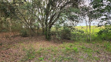 Lot 20 SW Ivy Place, Dunnellon, FL 34431 - photo 4