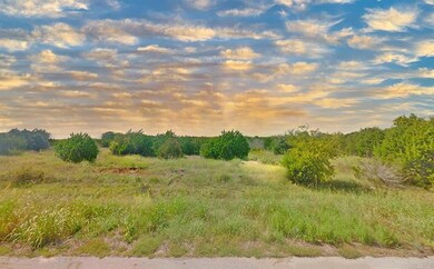 1053 White Bluff Dr, Whitney, TX 76692 - photo 2