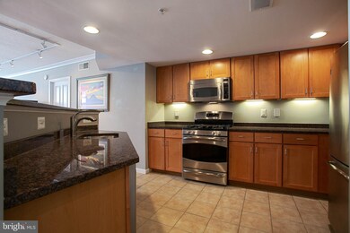 The Park at Courthouse unit 307, Arlington, VA 22201 - photo 6