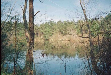 0 Andrew Chapel Rd unit 1273136, Brandon, MS 39042 - photo 7