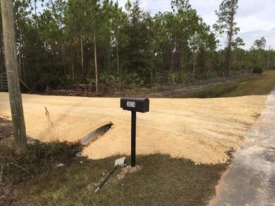 3824 NW Miller Rd, Altha, FL 32421 - photo 3