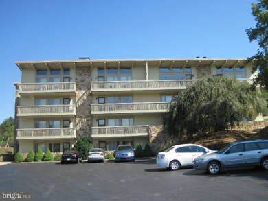 1836 Fairway Dr unit 221, Basye, VA 22810 - photo 2