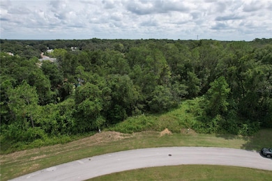 2856 E Chartwell Cir, Hernando, FL 34442 - photo 4