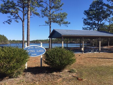Spring Lake Park Swimming Lake