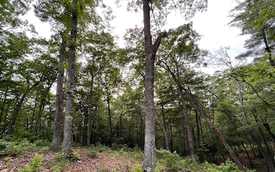 Additional View