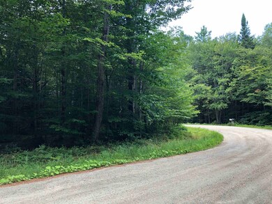 0 Deer Hill Rd unit 4 & 9 4924588, Whitingham, VT 05361 - photo 3