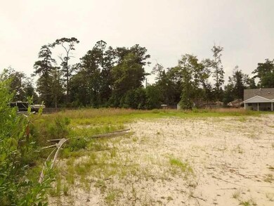 0 Nelson Landing Dr, Pearl River, LA 70452 - photo 4