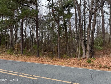 0 Boyd Lake Rd, Hamlet, NC 28345 - photo 5