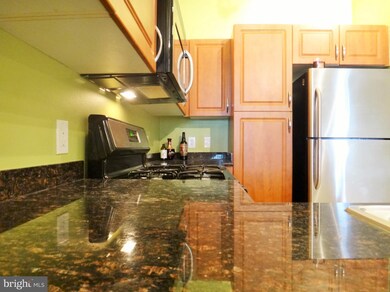 Bryson At Woodland Park unit 106, Herndon, VA 20171 - photo 7