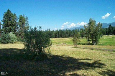Summer Meadows