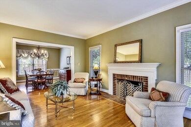 8329 Woodacre St, Alexandria, VA 22308 - photo 4