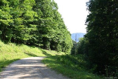 331 Hamlin Ln unit 331, Mars Hill, NC 28754 - photo 3