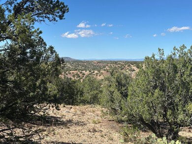 7 Old Rail Pass, La Madera, NM 87047 - photo 4