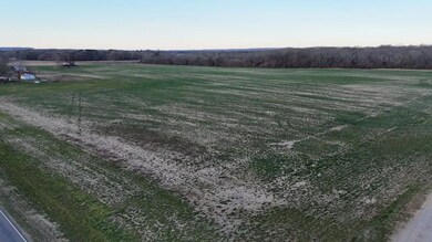 0 County Road 150, Courtland, AL 35618 - photo 6