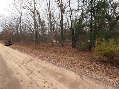 V/L 40th Ave, Merrill Township, MI 49309 - photo 3