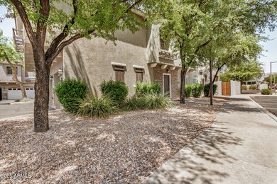 03 - Rio Salado