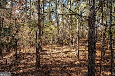 1941 Kingsland Way, Bishop, GA 30621 - photo 3