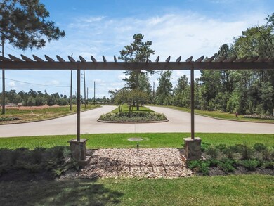 758 Crystal Charm Ln, Magnolia, TX 77354 - photo 7