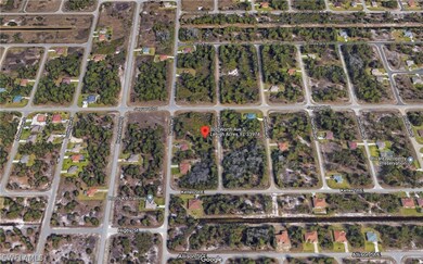 806 Worth Ave S, Lehigh Acres, FL 33974 - photo 6