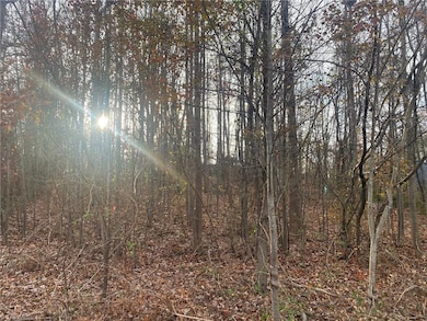 000 Meadow Lane Rd, Hays, NC 28635 - photo 2