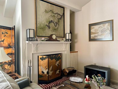 3 Village Cir unit 407, Stroudsburg, PA 18360 - photo 5