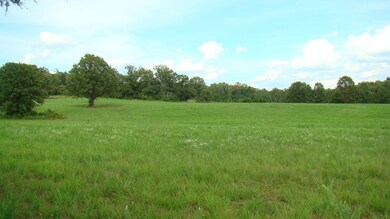 DSC03565