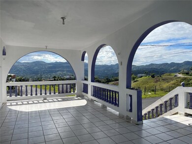 Carr. 902 Quebrada Arenas, San Lorenzo, PR 00754 - photo 2