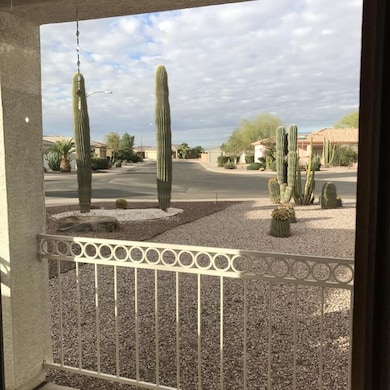 Looking out Front Window