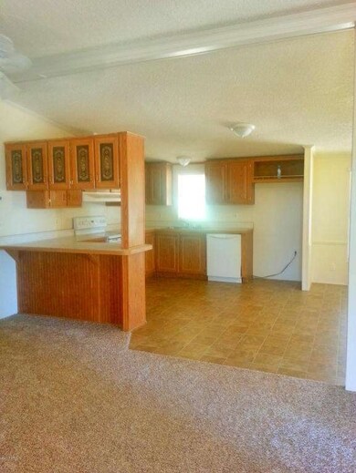 Delaware kitchen 4