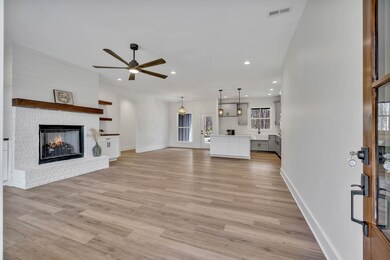 2501 Anes Station Rd, Lewisburg, TN 37091 - photo 7