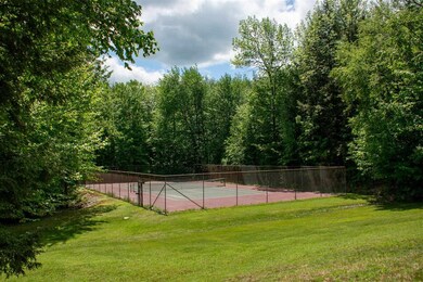 213 White Birch Ln, West Wardsboro, VT 05360 - photo 5