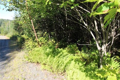 Doe Path