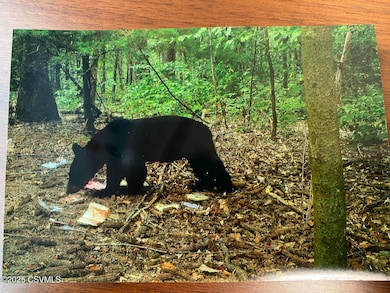 IMG_0243_1759866594259