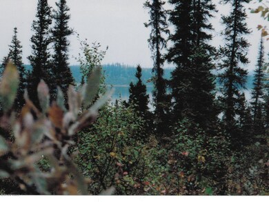 Lake Louise (3)