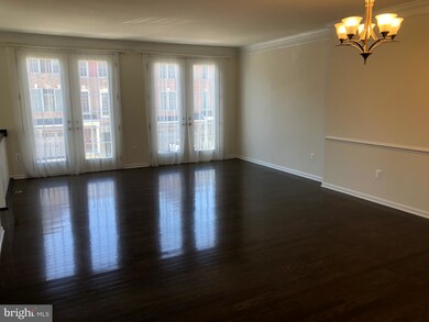 25020 Cambridge Hill Terrace, Chantilly, VA 20152 - photo 5