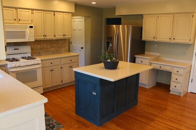 44 Christina Cir, Wheaton, IL 60189 - photo 6