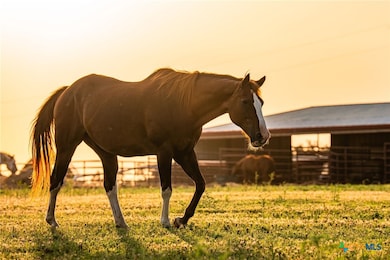 2055 County Road 284, Liberty Hill, TX 78642 - photo 3