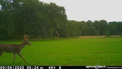 E21504 Karow Rd, Augusta, WI 54722 - photo 4