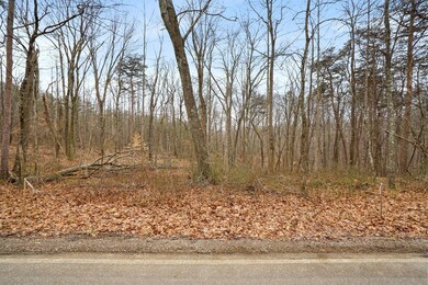 28-web-or-mls-DSC04925