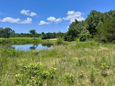 38A Honeysuckle Rd, Franklin, AR 72536 - photo 6